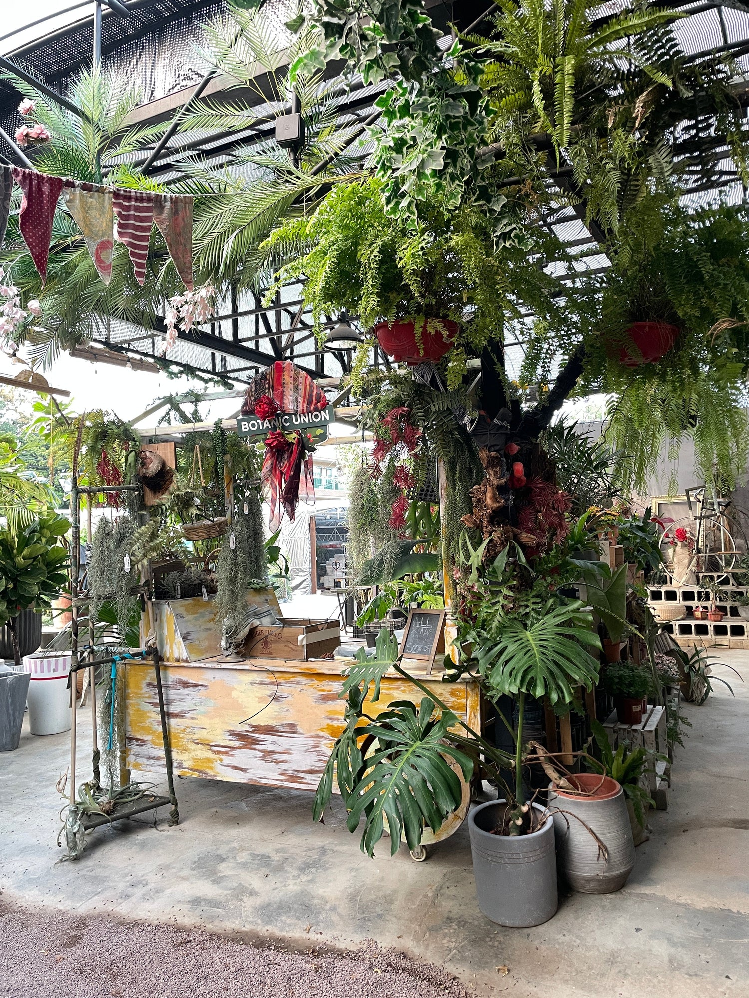 Rental & Maintenance I 植物租借