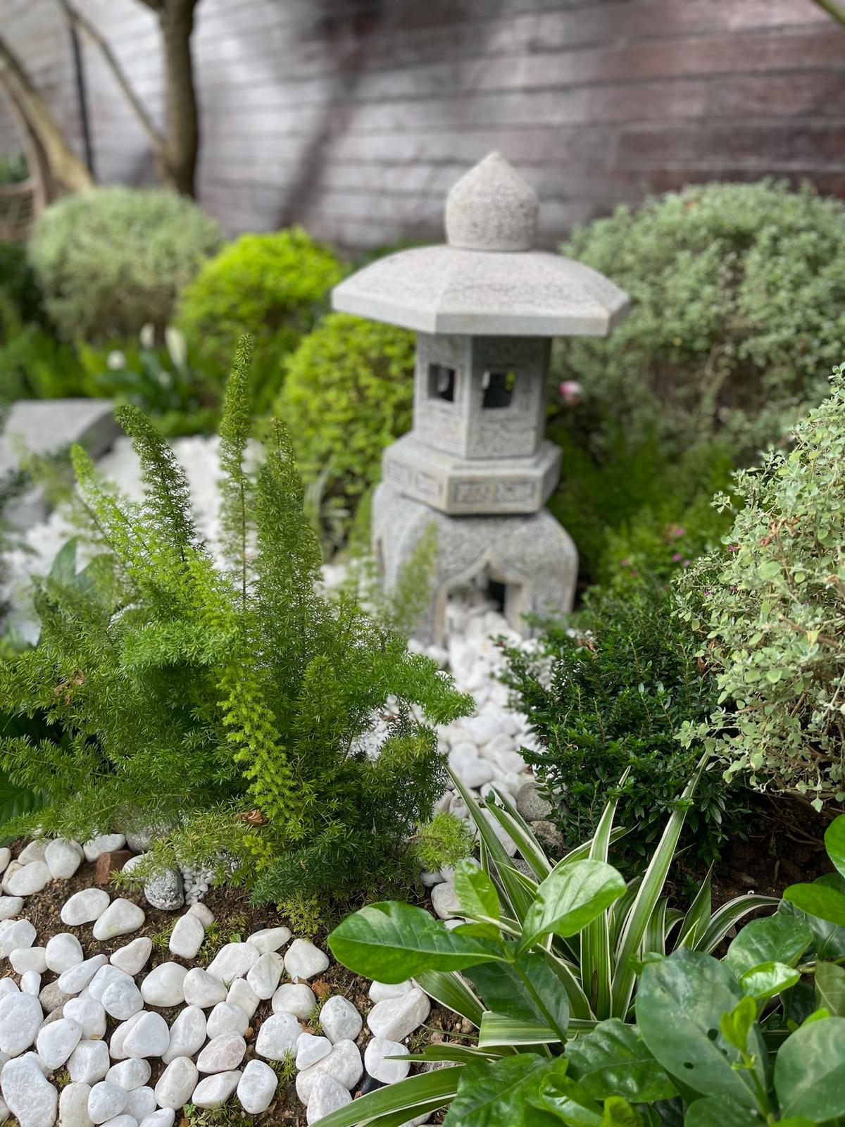Landscape & Garden